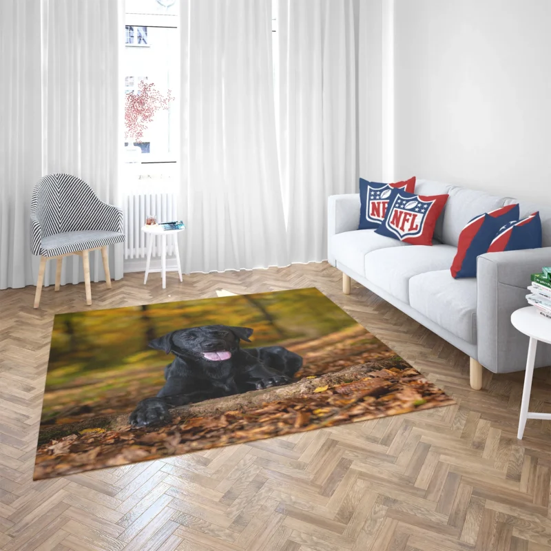 Majestic Canine Beauty: Labrador Quartet Floor Rug 2