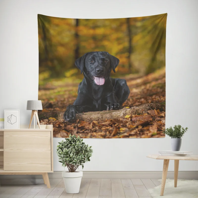 Majestic Canine Beauty  Labrador Quartet Wall Tapestry