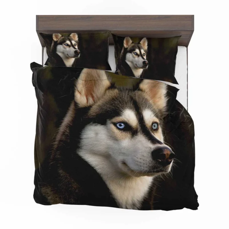 Majestic Huskies: Siberian Husky Quartet Bedding Set 1