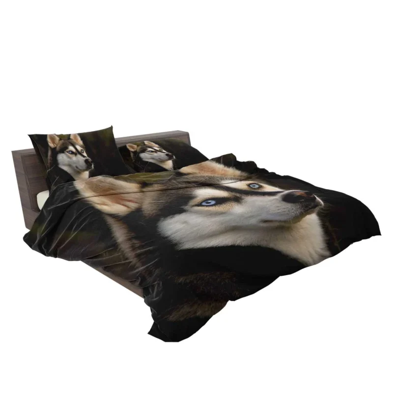 Majestic Huskies: Siberian Husky Quartet Bedding Set 2