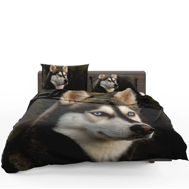 Majestic Huskies: Siberian Husky Quartet Bedding Set