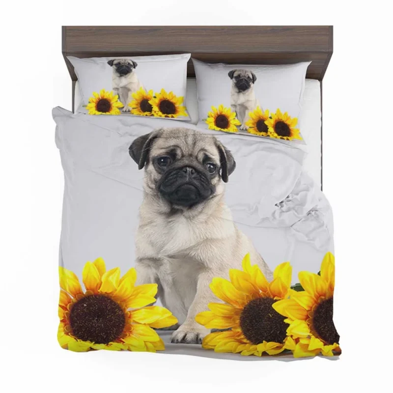 Majestic Pug Quartet: Fourfold Pug Bedding Set 1