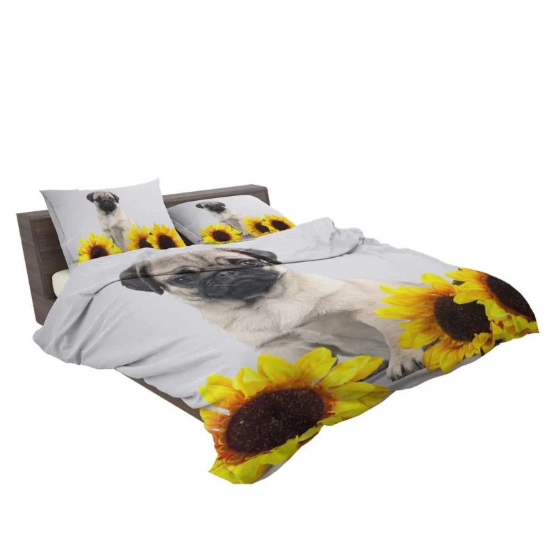 Majestic Pug Quartet: Fourfold Pug Bedding Set 2