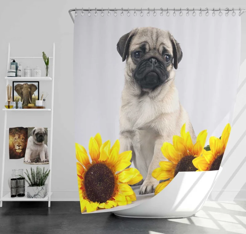 Majestic Pug Quartet: Fourfold Pug Shower Curtain