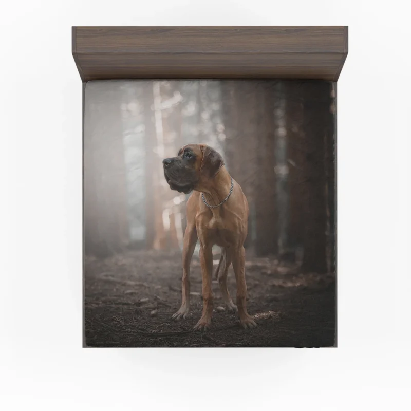 Majestic Quartet: Great Dane Depth of Field Fitted Sheet