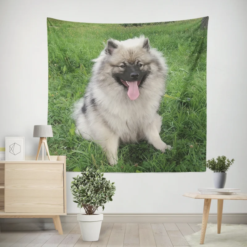 Majestic Spitz  Splitz Keeshond Dog Breed Wall Tapestry