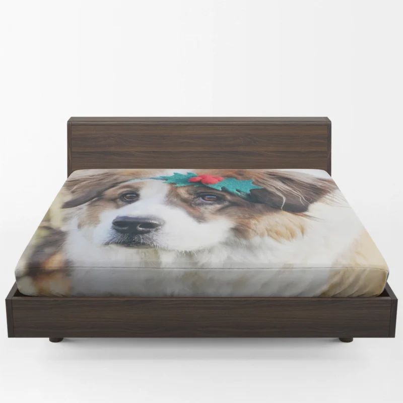 Majestic and Grand: St. Bernard Quartet Fitted Sheet 1