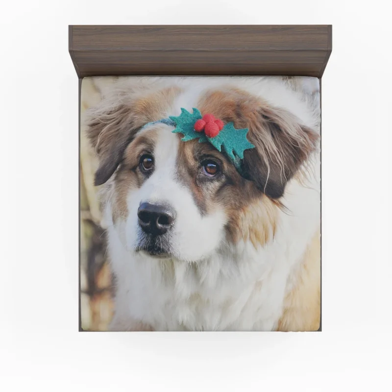 Majestic and Grand: St. Bernard Quartet Fitted Sheet