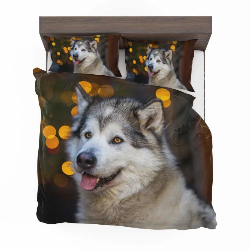 Majestic and Mighty: Alaskan Malamute Quartet Bedding Set 1