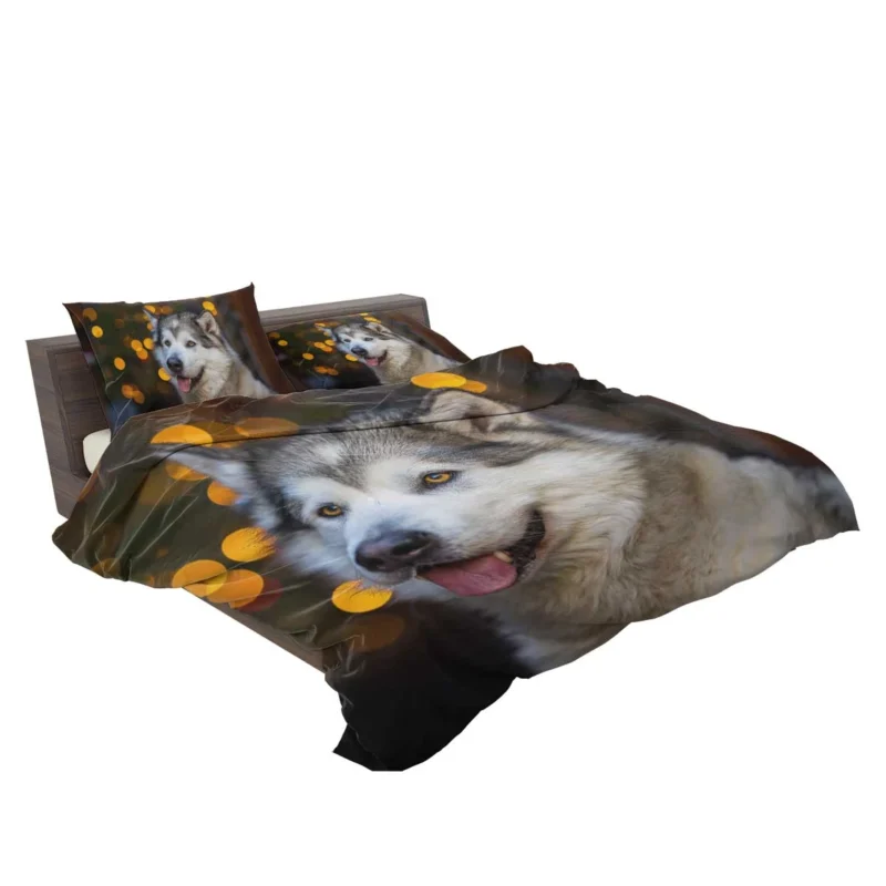 Majestic and Mighty: Alaskan Malamute Quartet Bedding Set 2