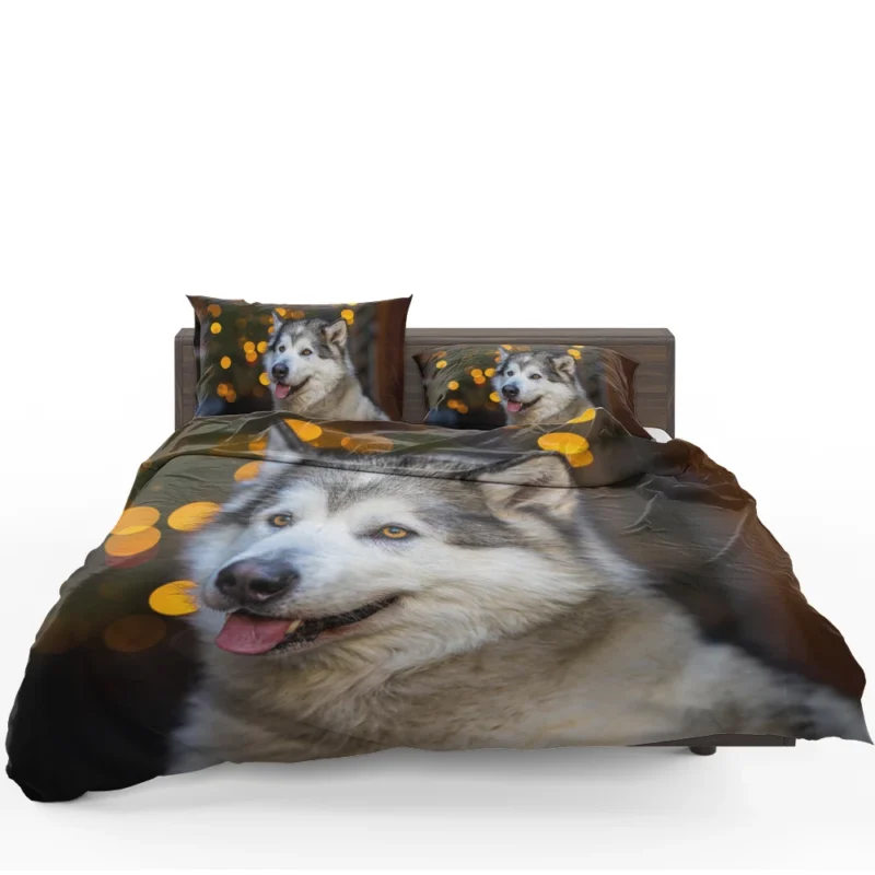 Majestic and Mighty: Alaskan Malamute Quartet Bedding Set