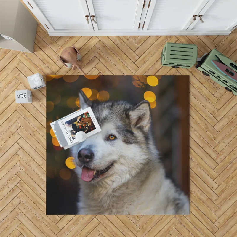 Majestic and Mighty: Alaskan Malamute Quartet Floor Rug