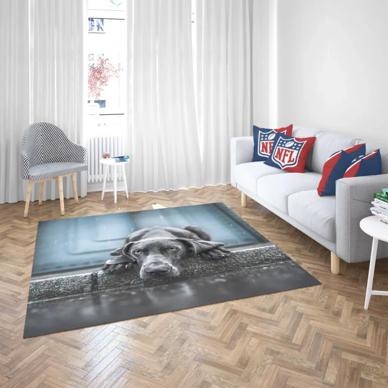 Majestic and Regal: Weimaraner Quartet Floor Rug 2