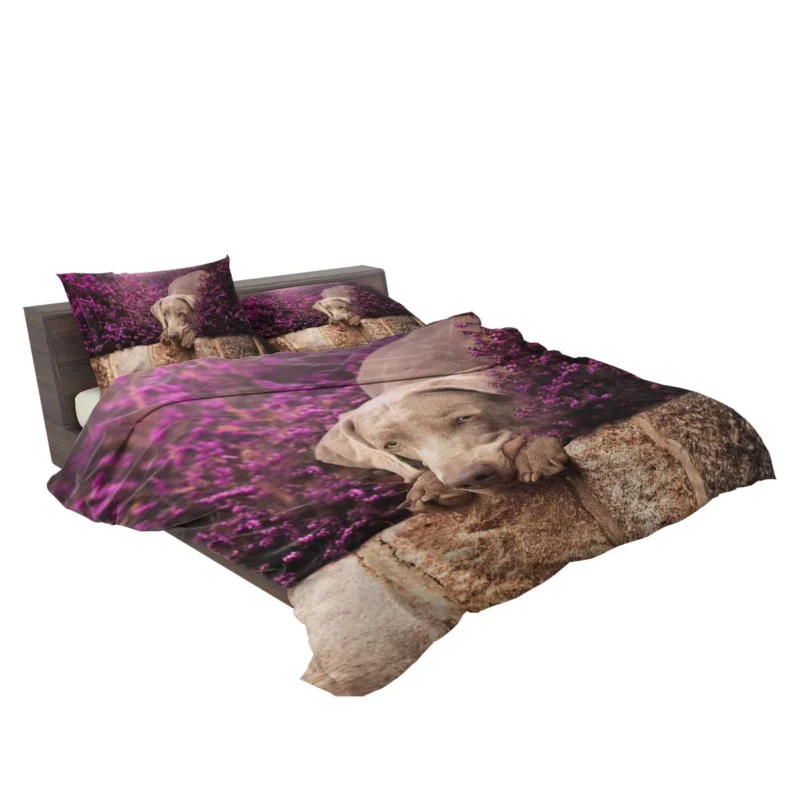 Majestic in Purple: Weimaraner Quartet Bedding Set 2