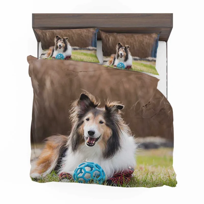 Majesty in Collies: Fourfold Rough Collie Quartet Bedding Set 1