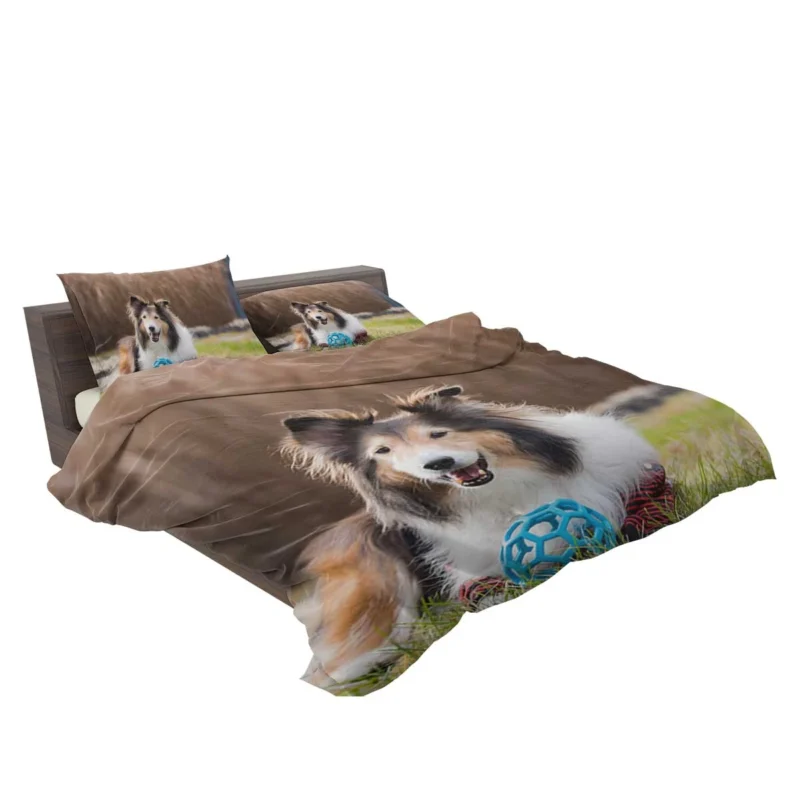 Majesty in Collies: Fourfold Rough Collie Quartet Bedding Set 2