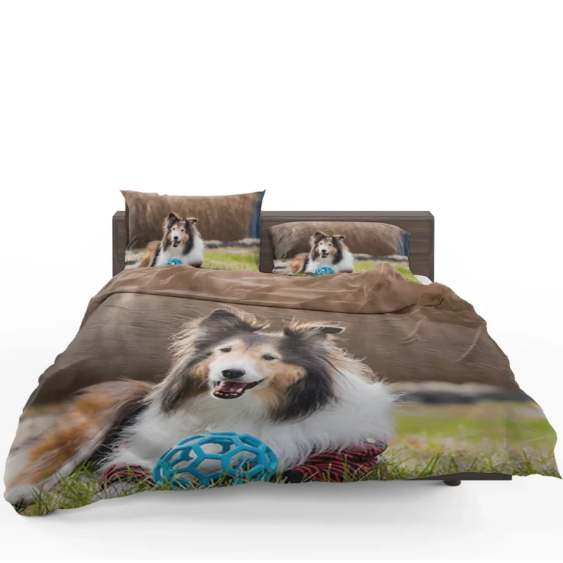 Majesty in Collies: Fourfold Rough Collie Quartet Bedding Set