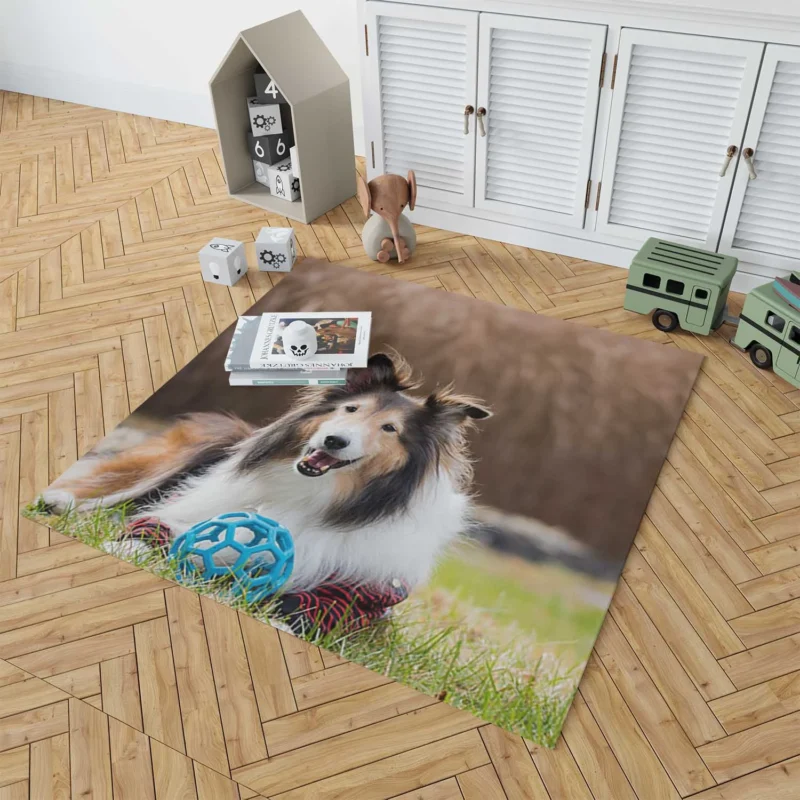 Majesty in Collies: Fourfold Rough Collie Quartet Floor Rug 1