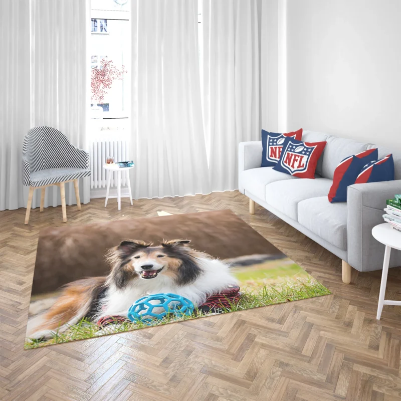 Majesty in Collies: Fourfold Rough Collie Quartet Floor Rug 2