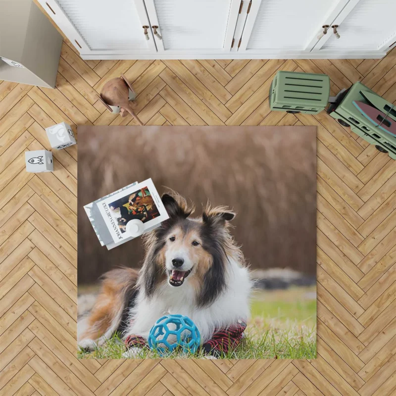 Majesty in Collies: Fourfold Rough Collie Quartet Floor Rug