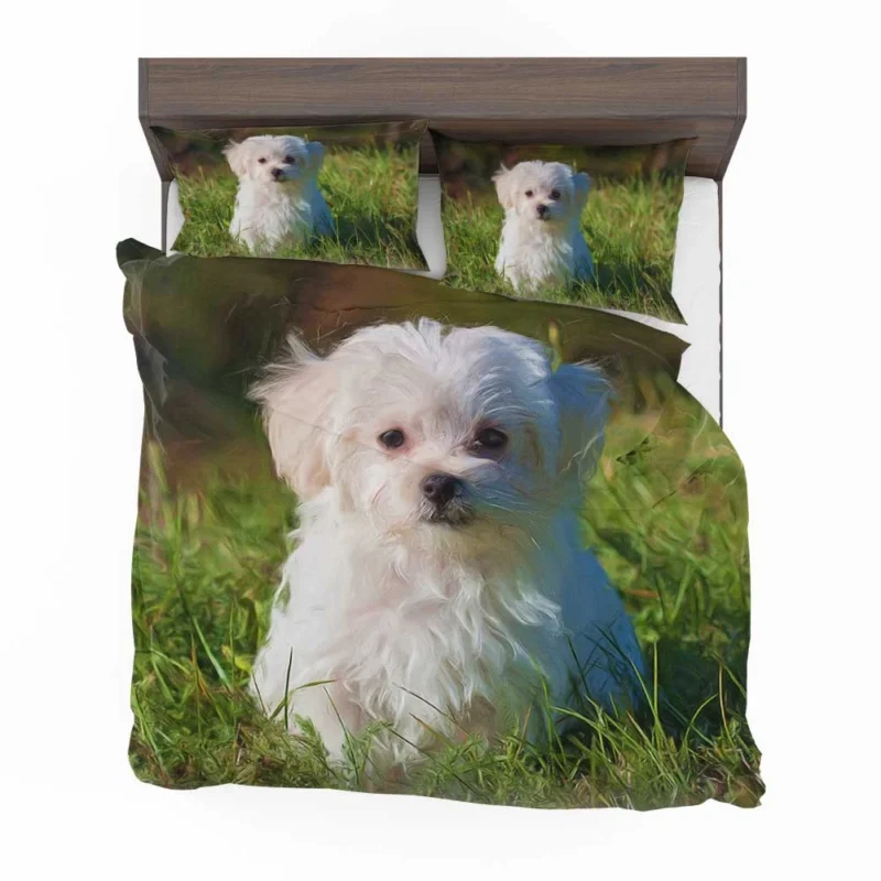 Masterful Canine Art: Maltese Oil Painting Bedding Set 1