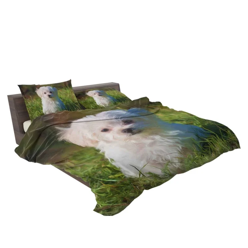 Masterful Canine Art: Maltese Oil Painting Bedding Set 2