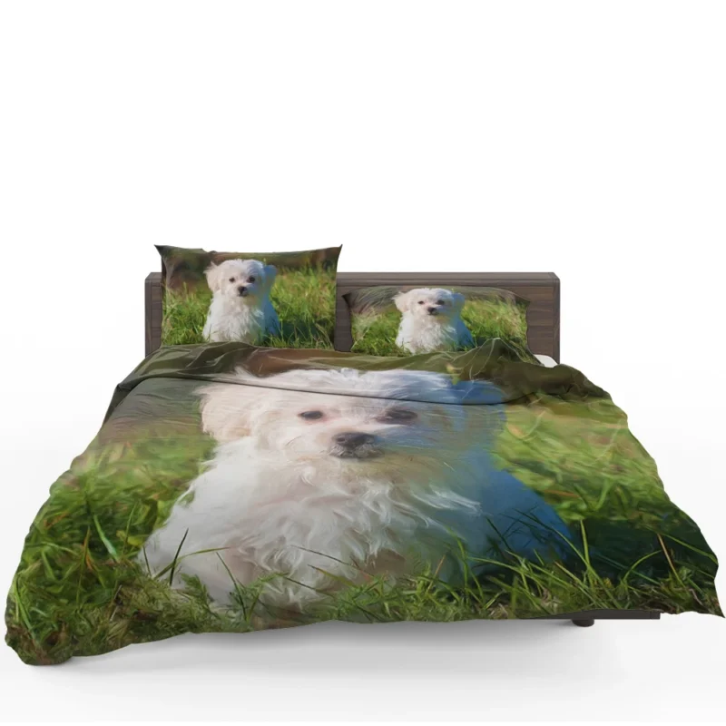 Masterful Canine Art: Maltese Oil Painting Bedding Set