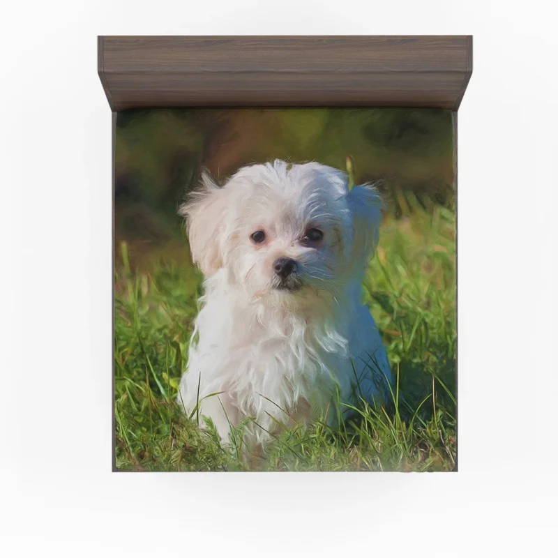 Masterful Canine Art: Maltese Oil Painting Fitted Sheet