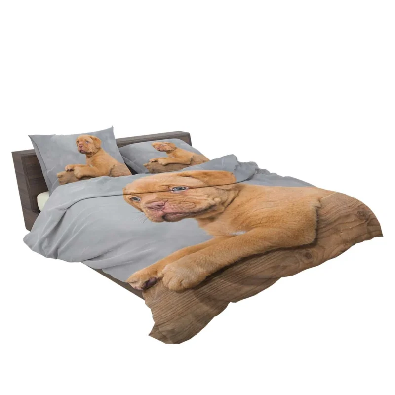 Mastiff Puppy in a Box: Dogue de Bordeaux Quartet Bedding Set 2