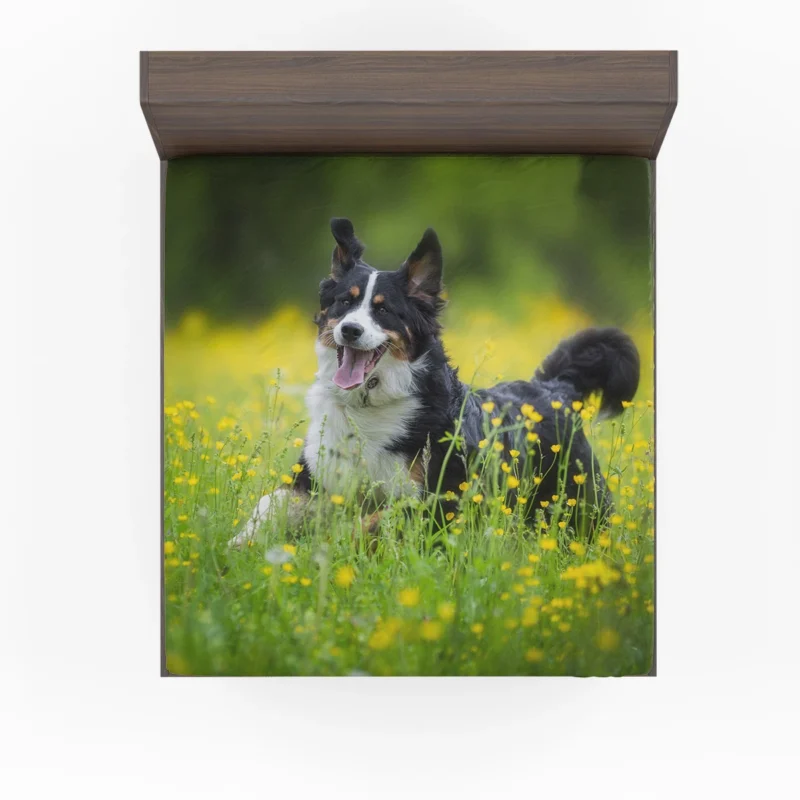 Meadow Adorned with Blooms: Sennenhund Quartet Fitted Sheet