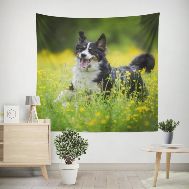 Meadow Adorned with Blooms  Sennenhund Quartet Wall Tapestry