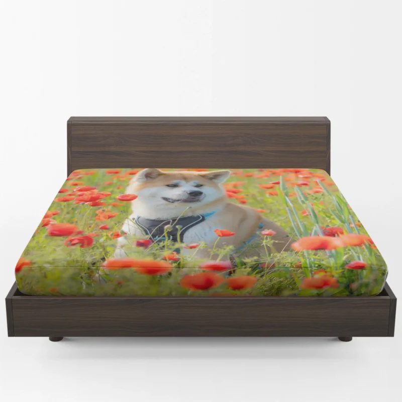 Meadow Moments with Poppies: Akita Quartet Fitted Sheet 1