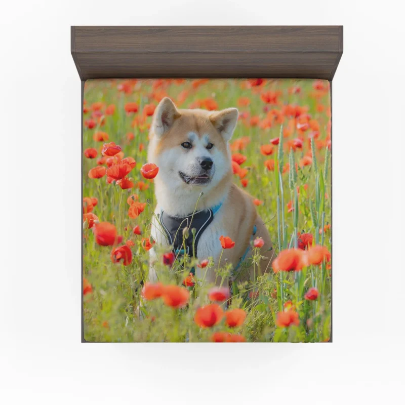 Meadow Moments with Poppies: Akita Quartet Fitted Sheet