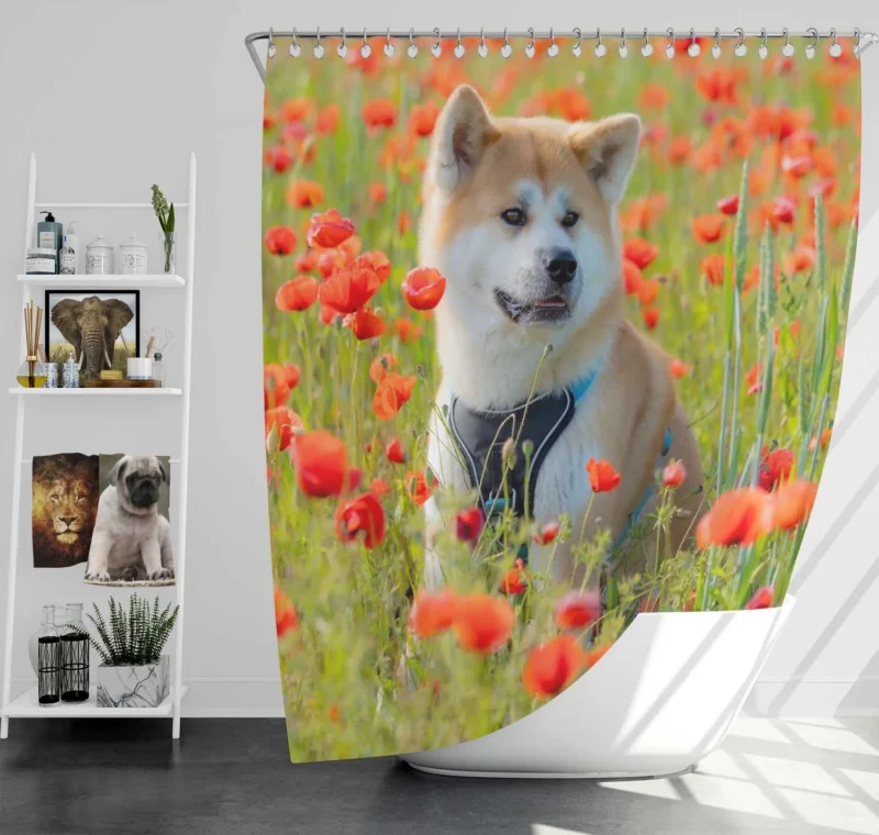 Meadow Moments with Poppies: Akita Quartet Shower Curtain