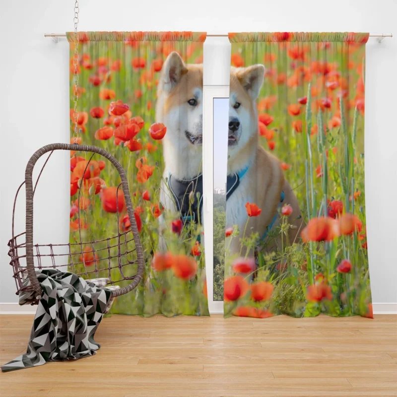 Meadow Moments with Poppies: Akita Quartet Window Curtain