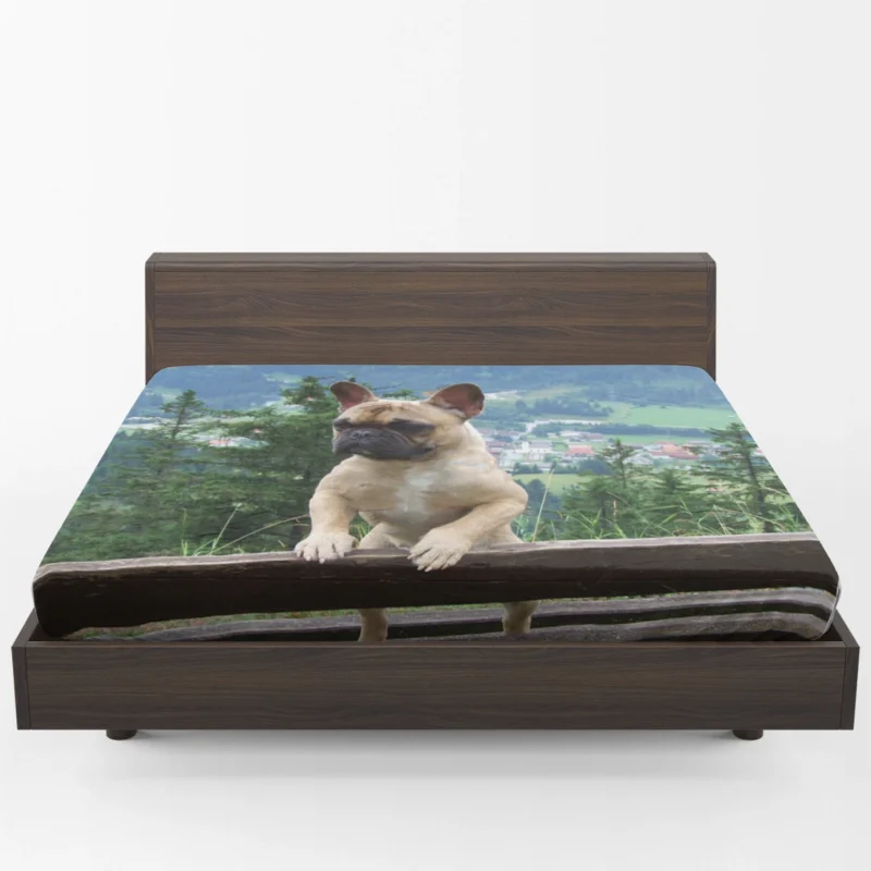 Meet Charlie: French Bulldog Star Fitted Sheet 1