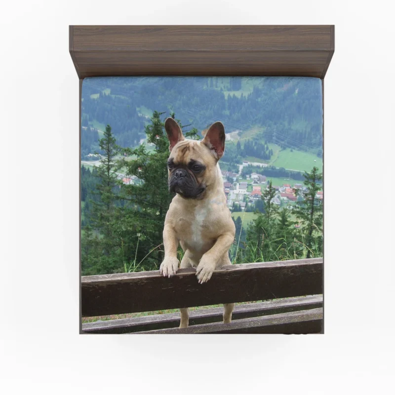 Meet Charlie: French Bulldog Star Fitted Sheet