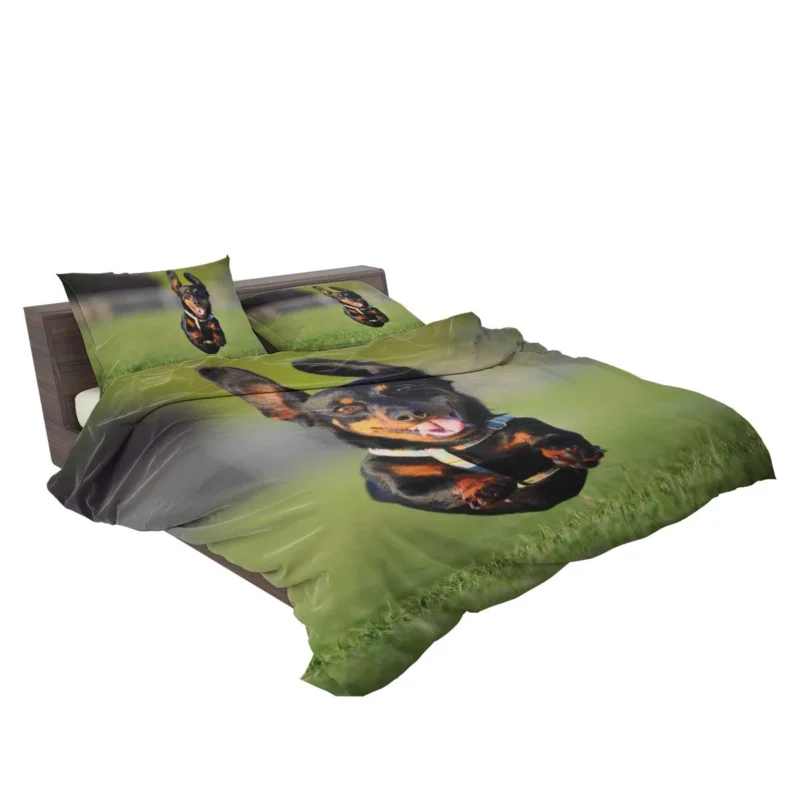 Mid-Air Leap of Dachshund: Quartet Bedding Set 2