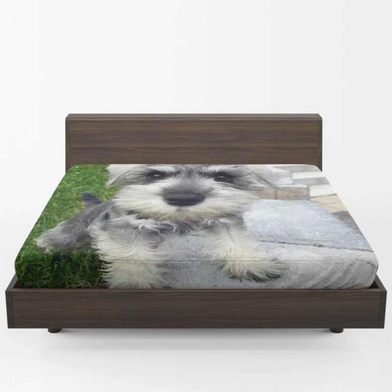 Miniature Schnauzer Quartet Fitted Sheet 1