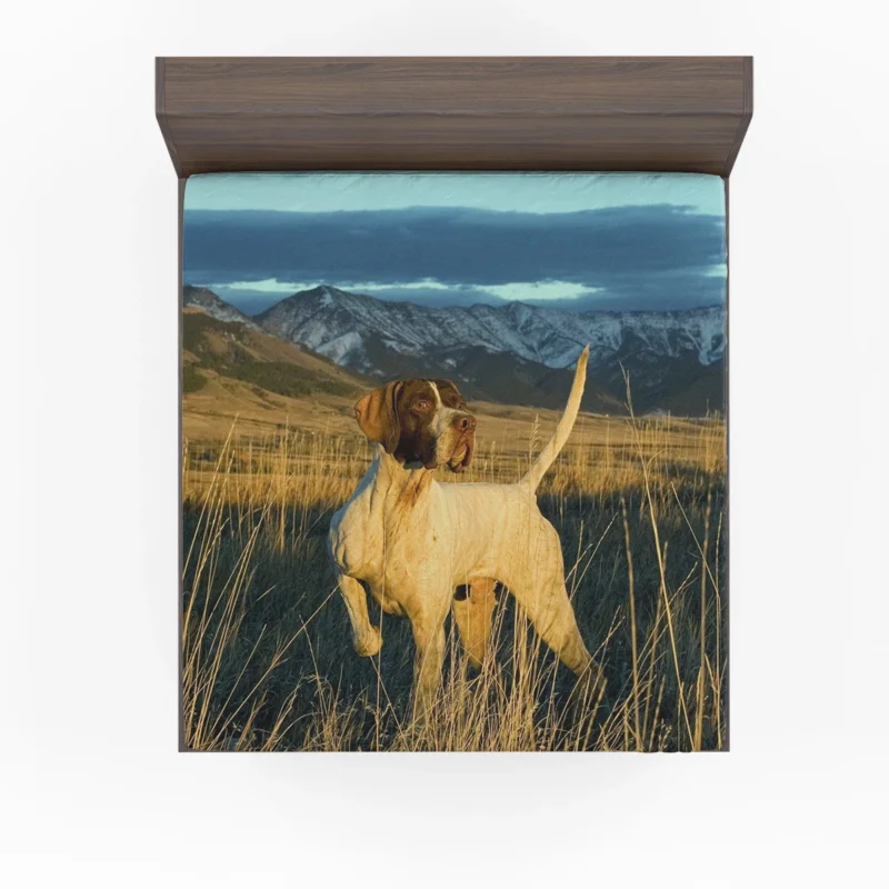 Mountain Scenic Beauty: Pointer Quartet Fitted Sheet