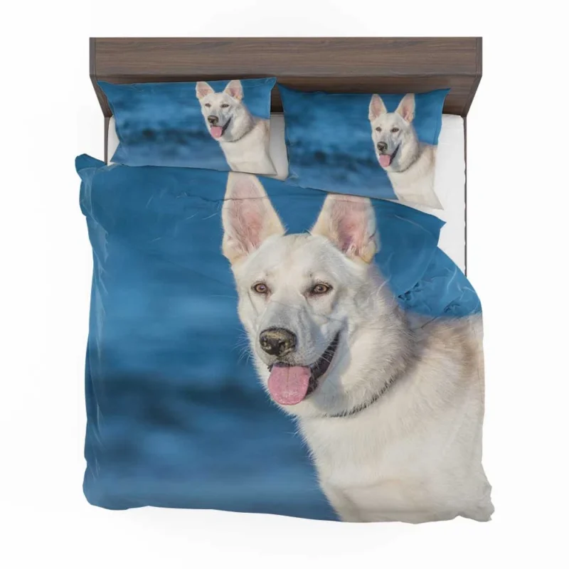 Muzzle Beauty: Berger Blanc Suisse Bedding Set 1