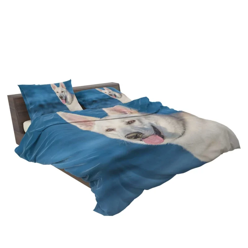 Muzzle Beauty: Berger Blanc Suisse Bedding Set 2