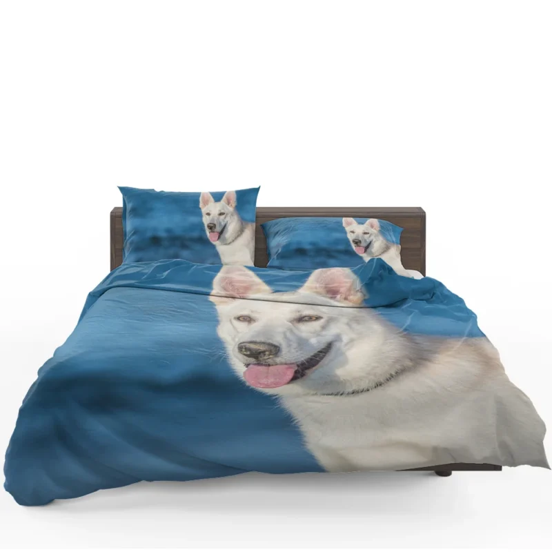 Muzzle Beauty: Berger Blanc Suisse Bedding Set