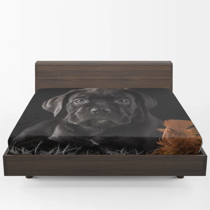 Muzzle Charm in Puppy Baubles: Cane Corso Quartet Fitted Sheet 1