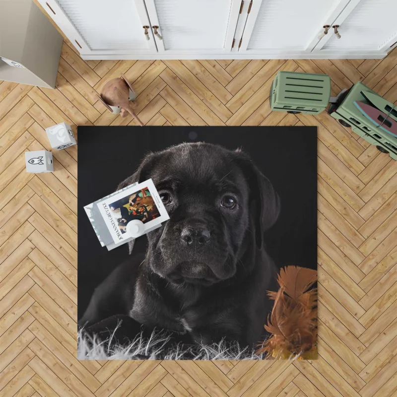 Muzzle Charm in Puppy Baubles: Cane Corso Quartet Floor Rug