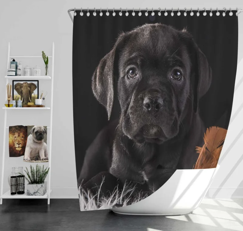 Muzzle Charm in Puppy Baubles: Cane Corso Quartet Shower Curtain