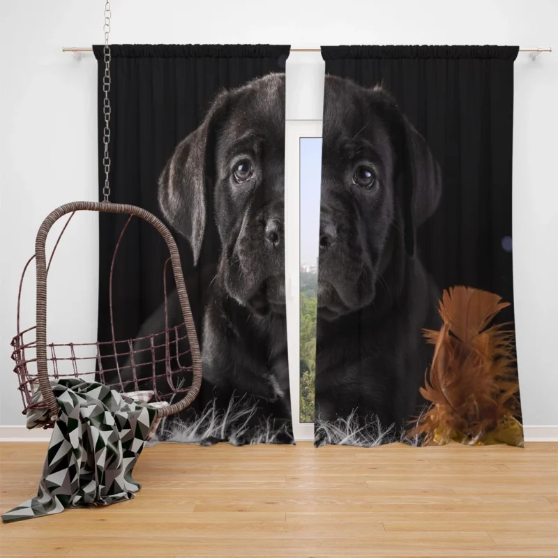 Muzzle Charm in Puppy Baubles: Cane Corso Quartet Window Curtain