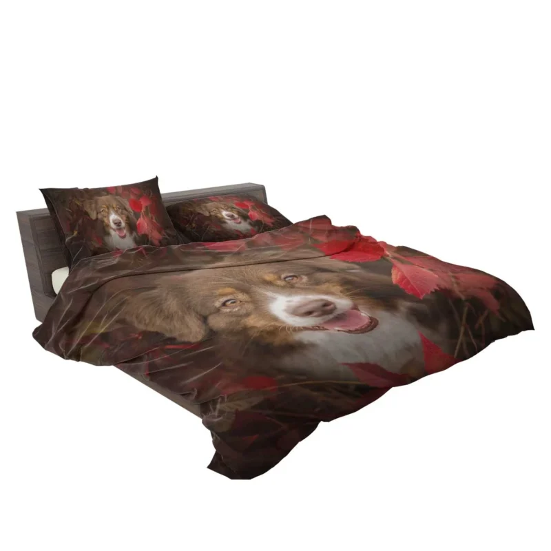 and Intense Stare: Australian Shepherd Bedding Set