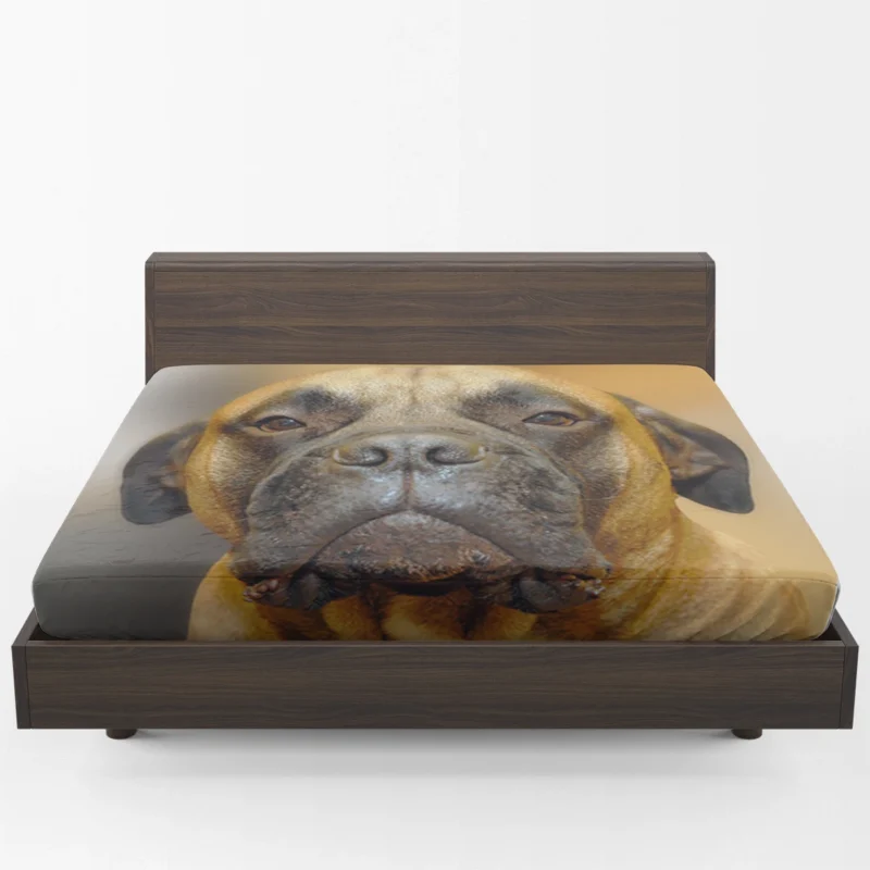 Muzzle Magic in Blur: Bullmastiff Quartet Fitted Sheet 1