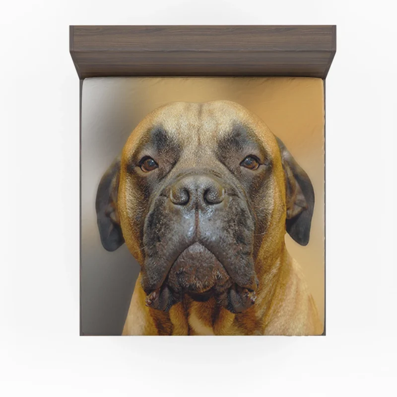 Muzzle Magic in Blur: Bullmastiff Quartet Fitted Sheet